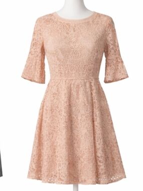 NWT ZARA NUDE BEIGE FIT & FLARE LACE DRESS
